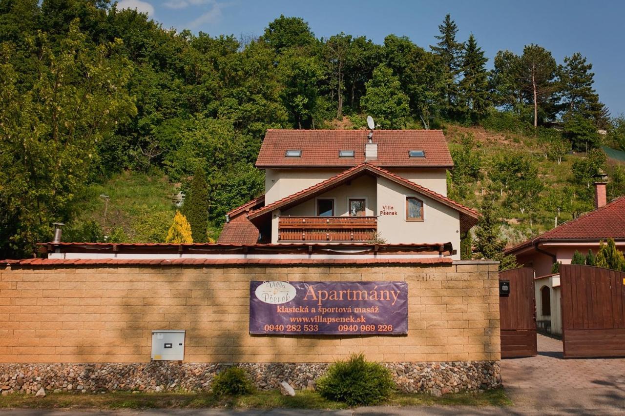 Villa Psenek Banka Eksteriør bilde